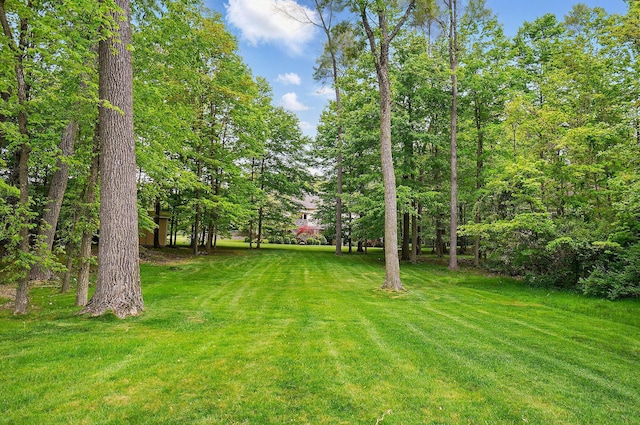 1092 George Allen Dr, South Vienna, OH 45369 - view of green lawn
