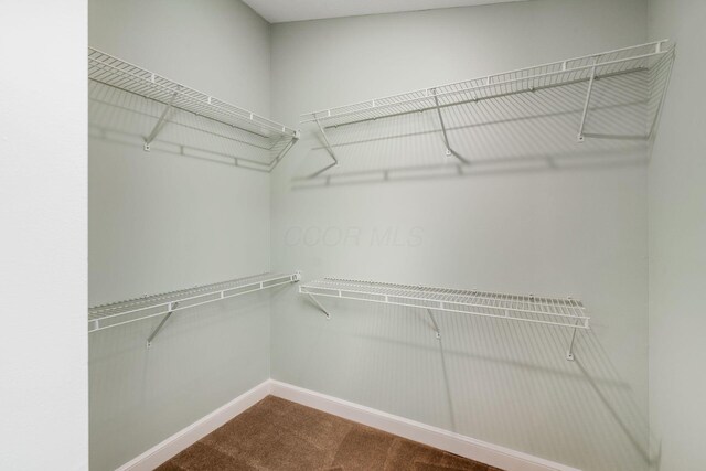 3653 Seattle Slew Dr, Columbus, OH 43221 - photo 23