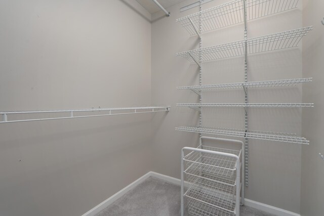 4526 Hoffman Farms Dr, Hilliard, OH 43026 - walk in closet with carpet floors