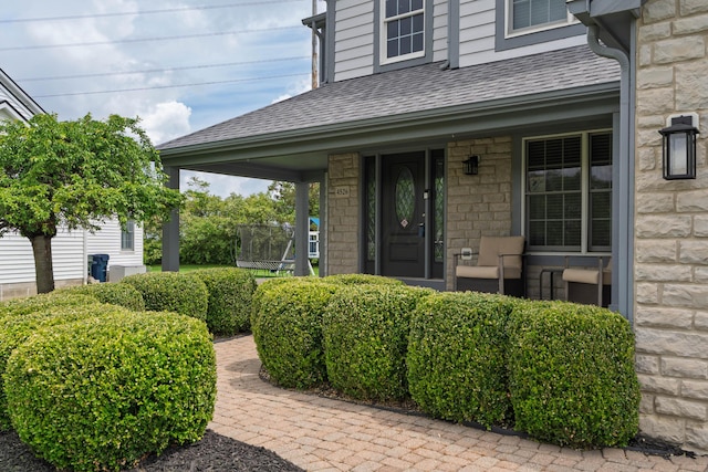 4526 Hoffman Farms Dr, Hilliard, OH 43026 - property entrance with a porch, a shingled roof, and stone siding