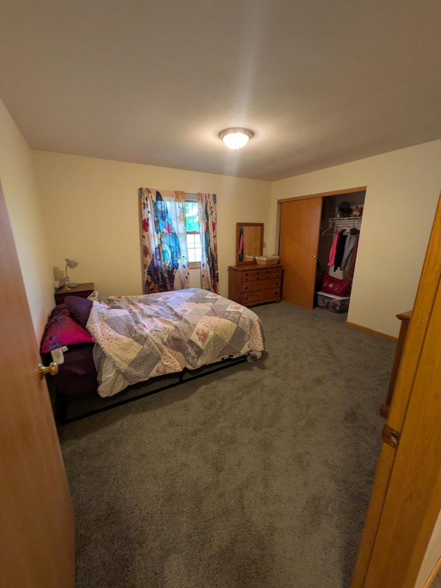 4280 Township Road 230, Cardington, OH 43315 - bedroom with carpet flooring and a closet