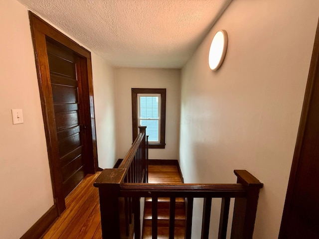 514 Eastern Ave, New Lexington, OH 43764 - photo 16