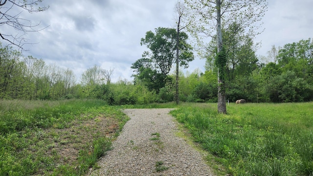0 Sr 684 Rd Unit 5Albany, Woods Albany, OH 45710