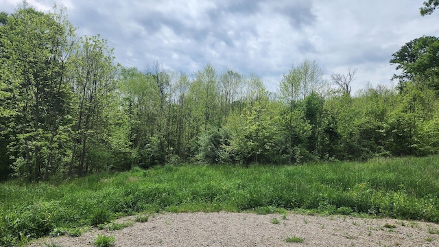 0 Sr 684 Rd Unit 5Albany, Woods Albany, OH 45710