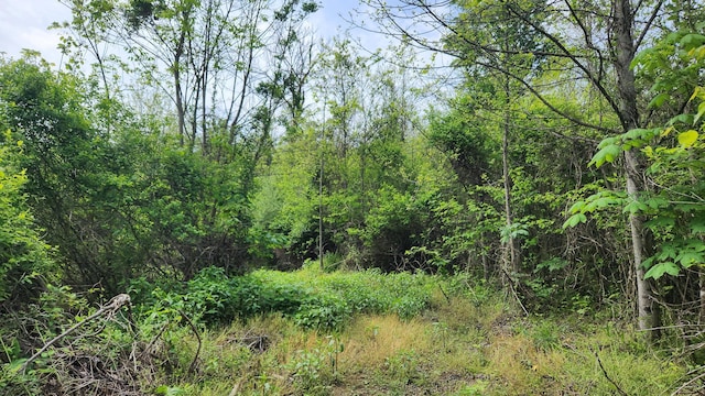 0 Sr 684 Rd Unit 5Albany, Woods Albany, OH 45710