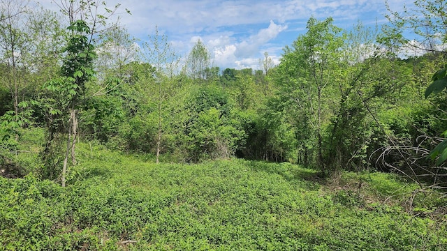 0 Sr 684 Rd Unit 5Albany, Woods Albany, OH 45710