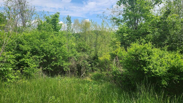 0 Sr 684 Rd Unit 5Albany, Woods Albany, OH 45710