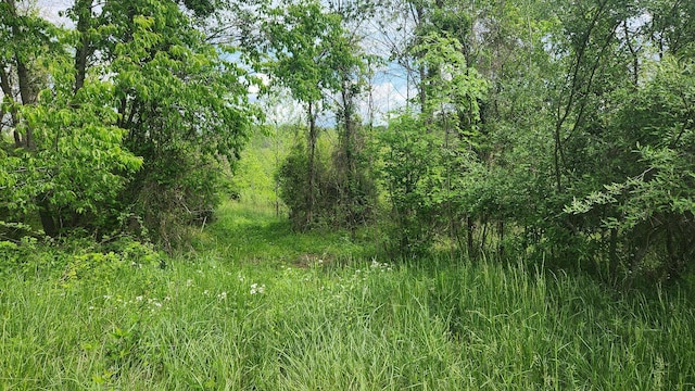 0 Sr 684 Rd Unit 5Albany, Woods Albany, OH 45710