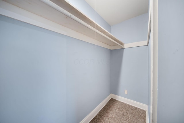 799 E Deshler Ave, Columbus, OH 43206 - walk in closet with carpet floors