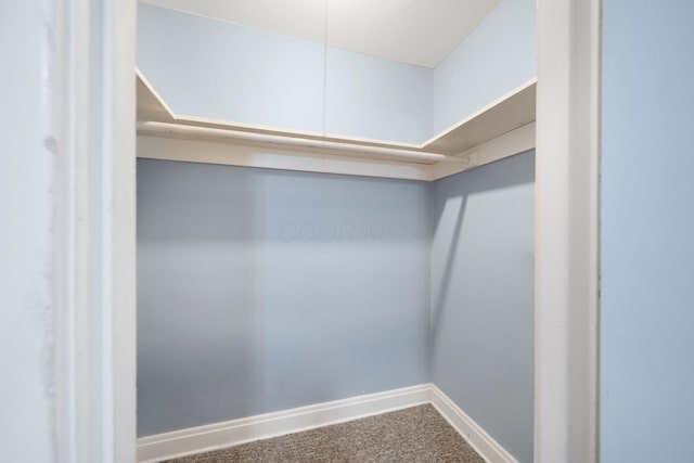 799 E Deshler Ave, Columbus, OH 43206 - walk in closet with carpet