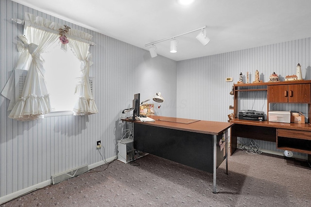 1236 8th Ave, Lancaster, OH 43130 - carpeted office space with healthy amount of natural light, baseboards, and track lighting
