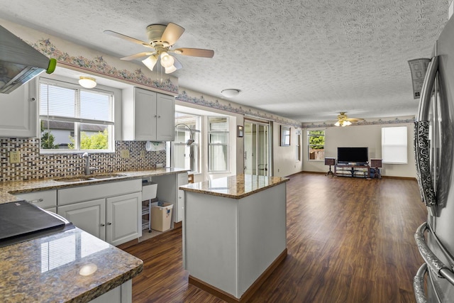 917 Linkfield Dr, Columbus, OH 43085 - kitchen featuring ceiling fan, a sink, backsplash, open floor plan, and dark wood-type flooring