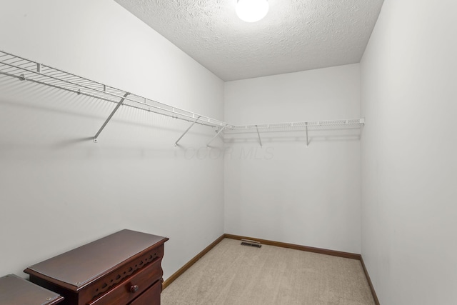 917 Linkfield Dr, Columbus, OH 43085 - spacious closet featuring light colored carpet