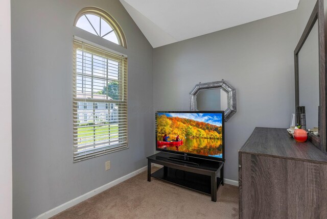 135 Mackenzie Dr, Pickerington, OH 43147 - photo 29