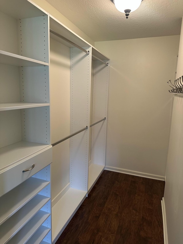 6667 Heatherstone Loop, Dublin, OH 43017 - walk in closet with dark wood-style floors