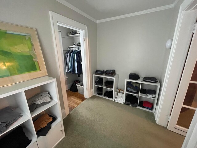 91 Oakland Park Ave, Columbus, OH 43214 - view of walk in closet