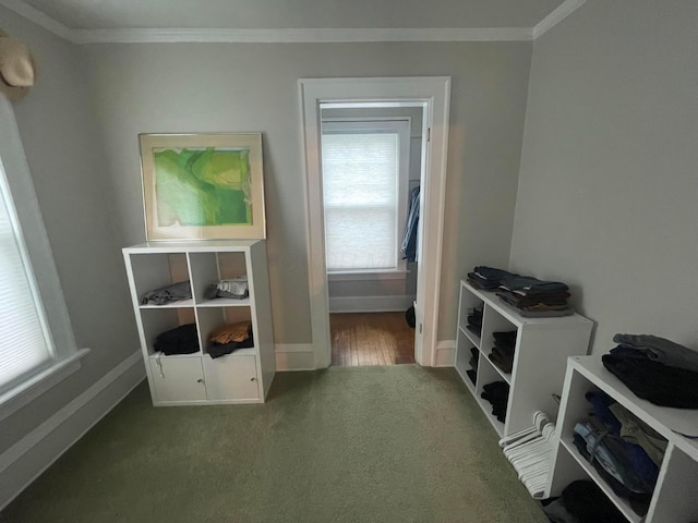 91 Oakland Park Ave, Columbus, OH 43214 - carpeted bedroom with crown molding and baseboards