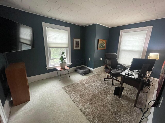 91 Oakland Park Ave, Columbus, OH 43214 - carpeted office space with baseboards and crown molding