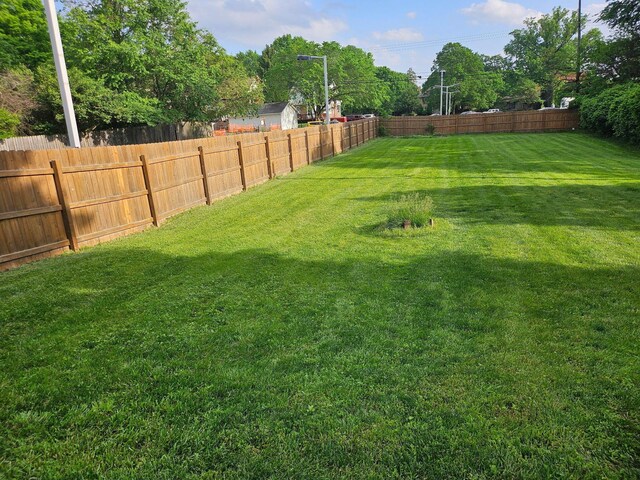 91 Oakland Park Ave, Columbus, OH 43214 - view of yard
