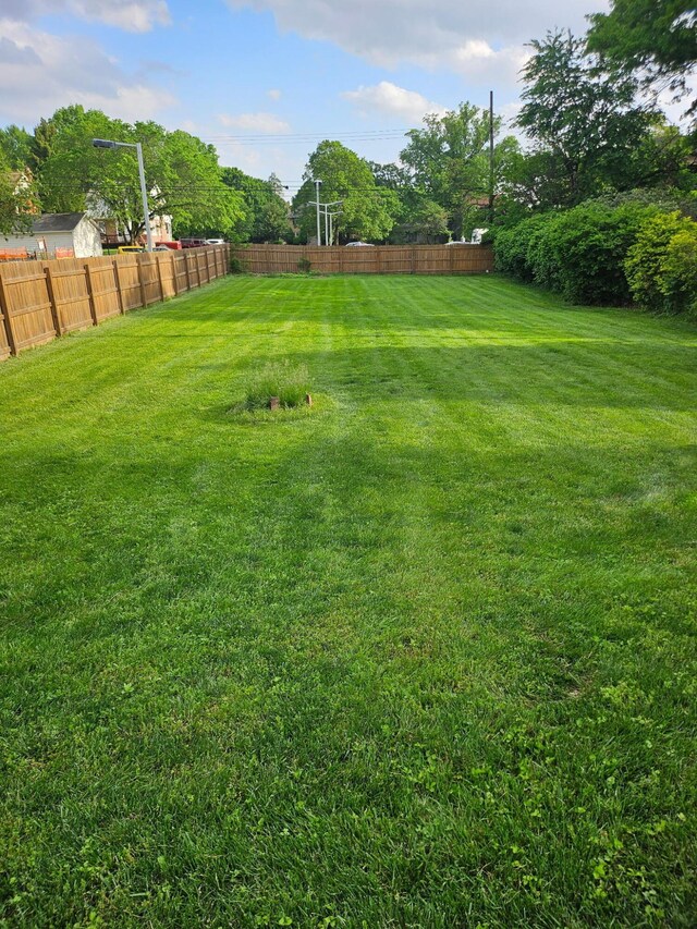 91 Oakland Park Ave, Columbus, OH 43214 - view of yard