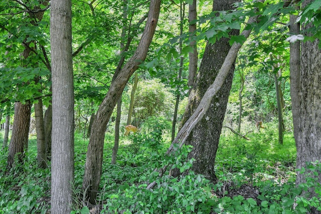 71 Donald Ross Dr, Granville, OH 43023 - view of tree filled area