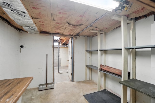 view of unfinished basement