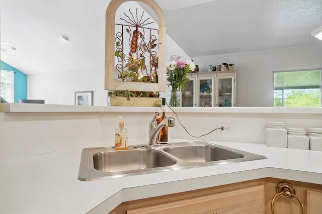 2675 Pine Marsh Dr, Grove City, OH 43123 - detailed view of a sink