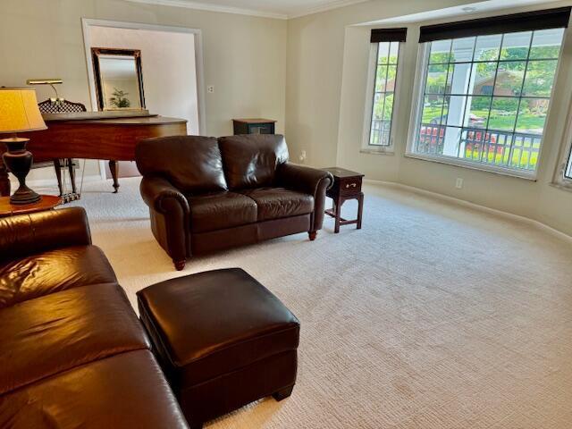 3145 Bembridge Rd, Columbus, OH 43221 - carpeted living room with ornamental molding and baseboards