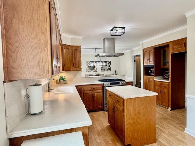 3145 Bembridge Rd, Columbus, OH 43221 - kitchen featuring island range hood, stainless steel electric stove, a center island, a sink, and crown molding