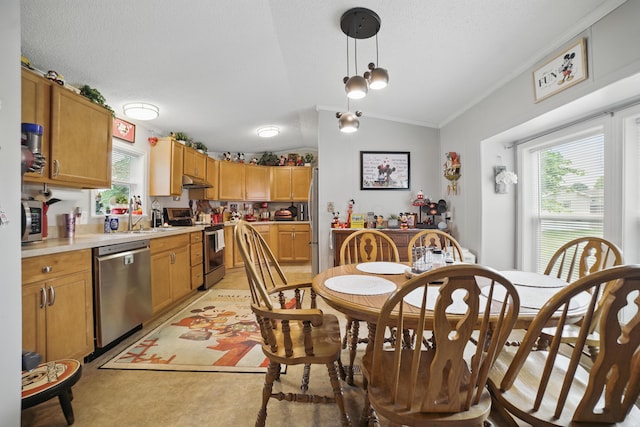 25 Ravine Ridge Dr, Delaware, OH 43015 - dining area featuring ornamental molding and lofted ceiling