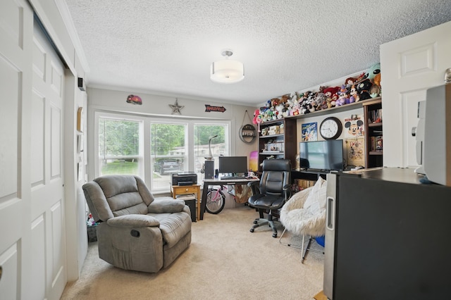 25 Ravine Ridge Dr, Delaware, OH 43015 - carpeted office space with a textured ceiling