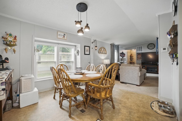25 Ravine Ridge Dr, Delaware, OH 43015 - dining space with ornamental molding, a textured ceiling, and vaulted ceiling