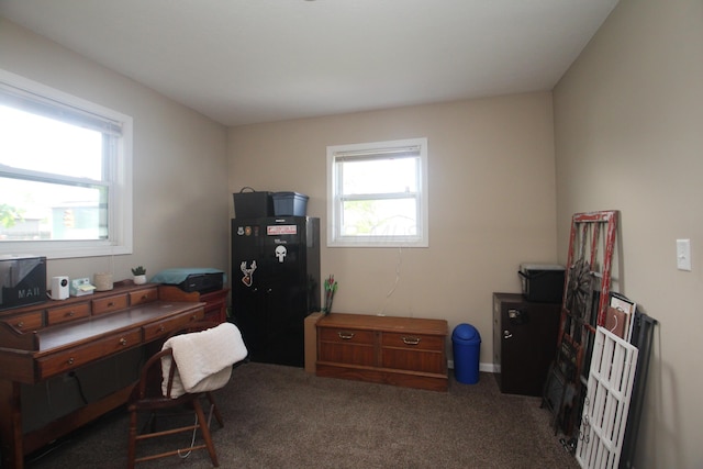 home office featuring healthy amount of natural light and carpet flooring