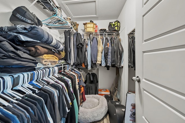 157 Joy Ave, Delaware, OH 43015 - spacious closet featuring attic access