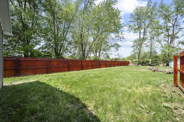 157 Joy Ave, Delaware, OH 43015 - view of yard