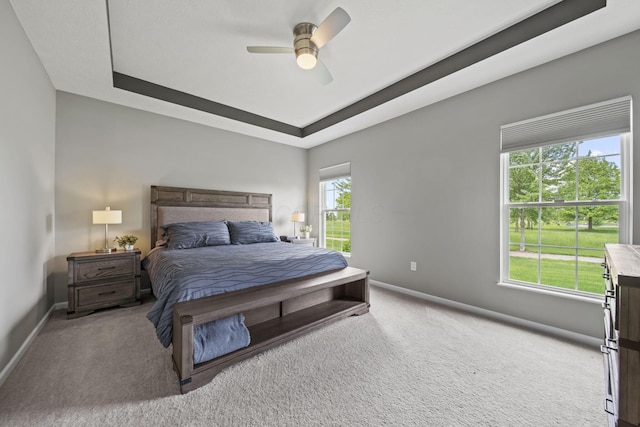 1070 Little Bear Pl, Lewis Center, OH 43035 - carpeted bedroom featuring a raised ceiling, baseboards, and a ceiling fan