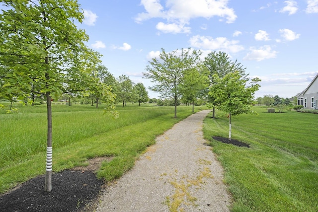 1070 Little Bear Pl, Lewis Center, OH 43035 - view of property's community featuring a yard
