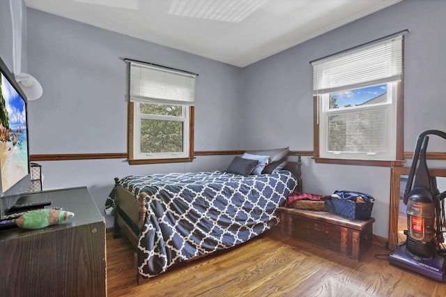 bedroom featuring wood finished floors, multiple windows, and baseboards