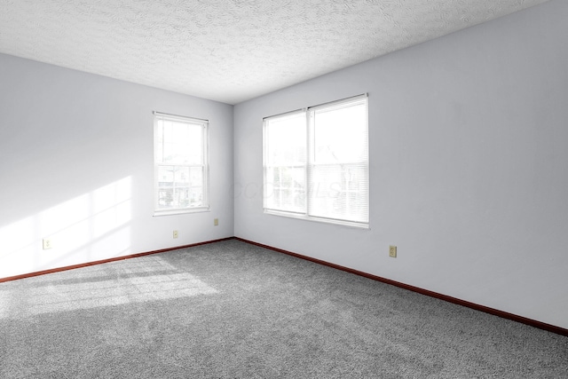 spare room with carpet flooring, baseboards, and a textured ceiling