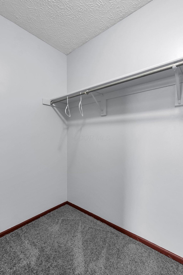 walk in closet with carpet