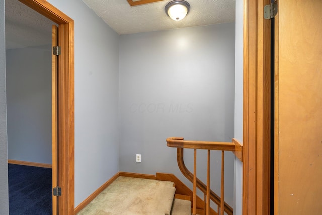 13216 Sheley Road Nw, Jeffersonville, OH 43128 - stairway with a textured ceiling, carpet floors, and baseboards