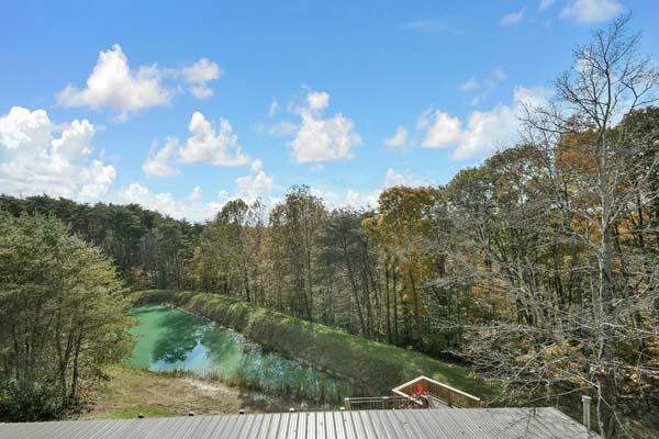 29002 Rockstull Rd, Sugar Grove, OH 43155 - dock featuring a view of trees and a water view
