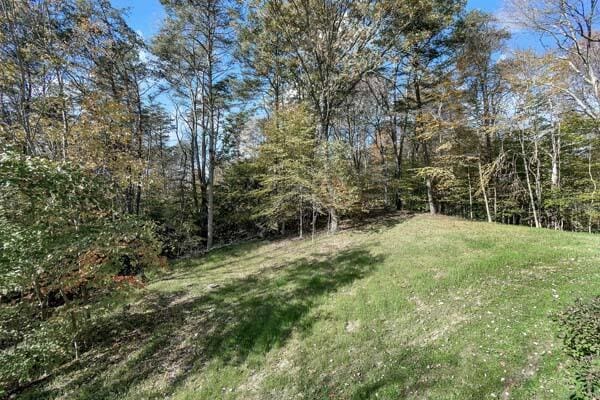 29002 Rockstull Rd, Sugar Grove, OH 43155 - view of grassy yard featuring a wooded view