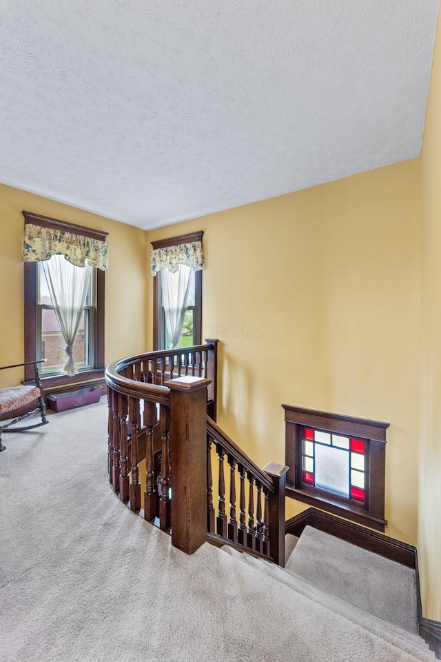 226 S Plum St, Marysville, OH 43040 - photo 41