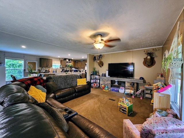living room featuring carpet flooring, ceiling fan, and a textured ceiling