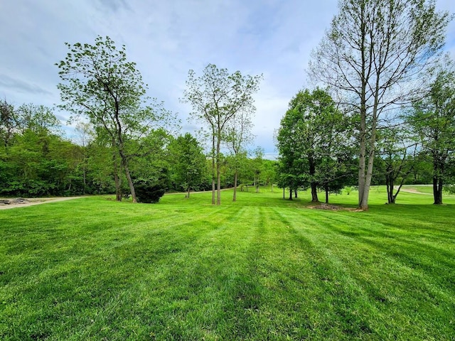 view of grassy yard