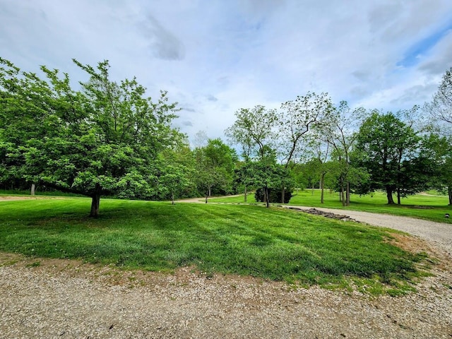 view of grassy yard