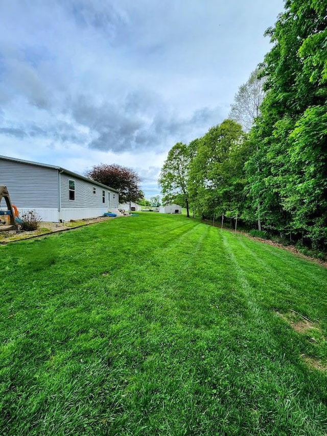 view of grassy yard