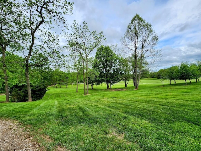 view of green lawn
