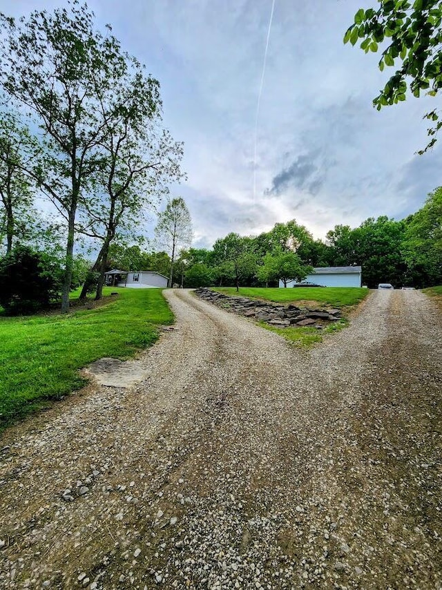 view of dirt / gravel road
